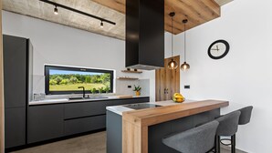 Private kitchen - Villa Ani (Istria - Krsan) (Krsan)