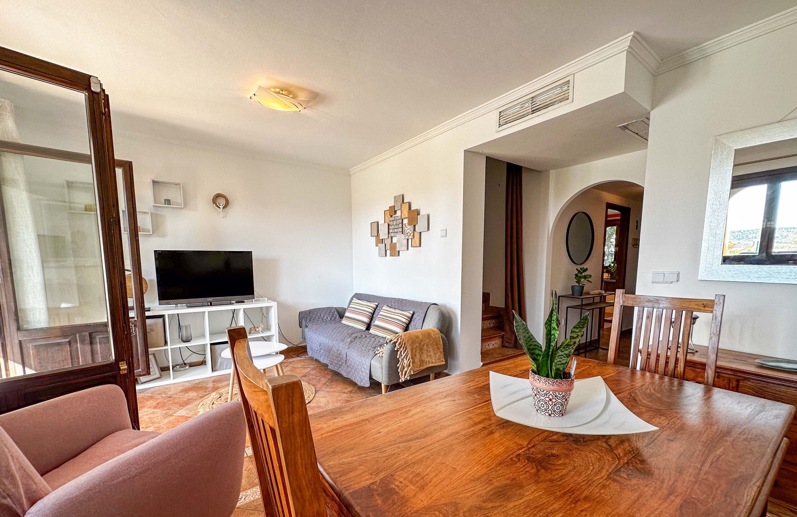 A living room with a sofa, TV, wooden dining table, and a potted plant.