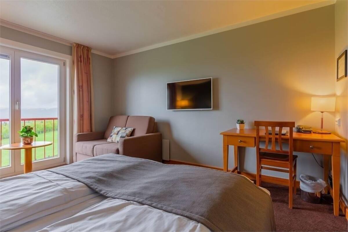 A hotel room with a bed, a desk, a chair, a TV, and a balcony with a plant.