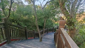 A wooden staircase surrounded by trees. - Grandhall Hotel Shishi (Shishi)