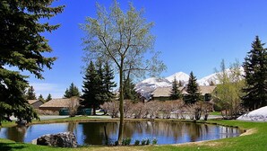 Um cenário tranquilo à beira de um lago, com céu claro, um lago e montanhas cobertas de neve ao fundo.