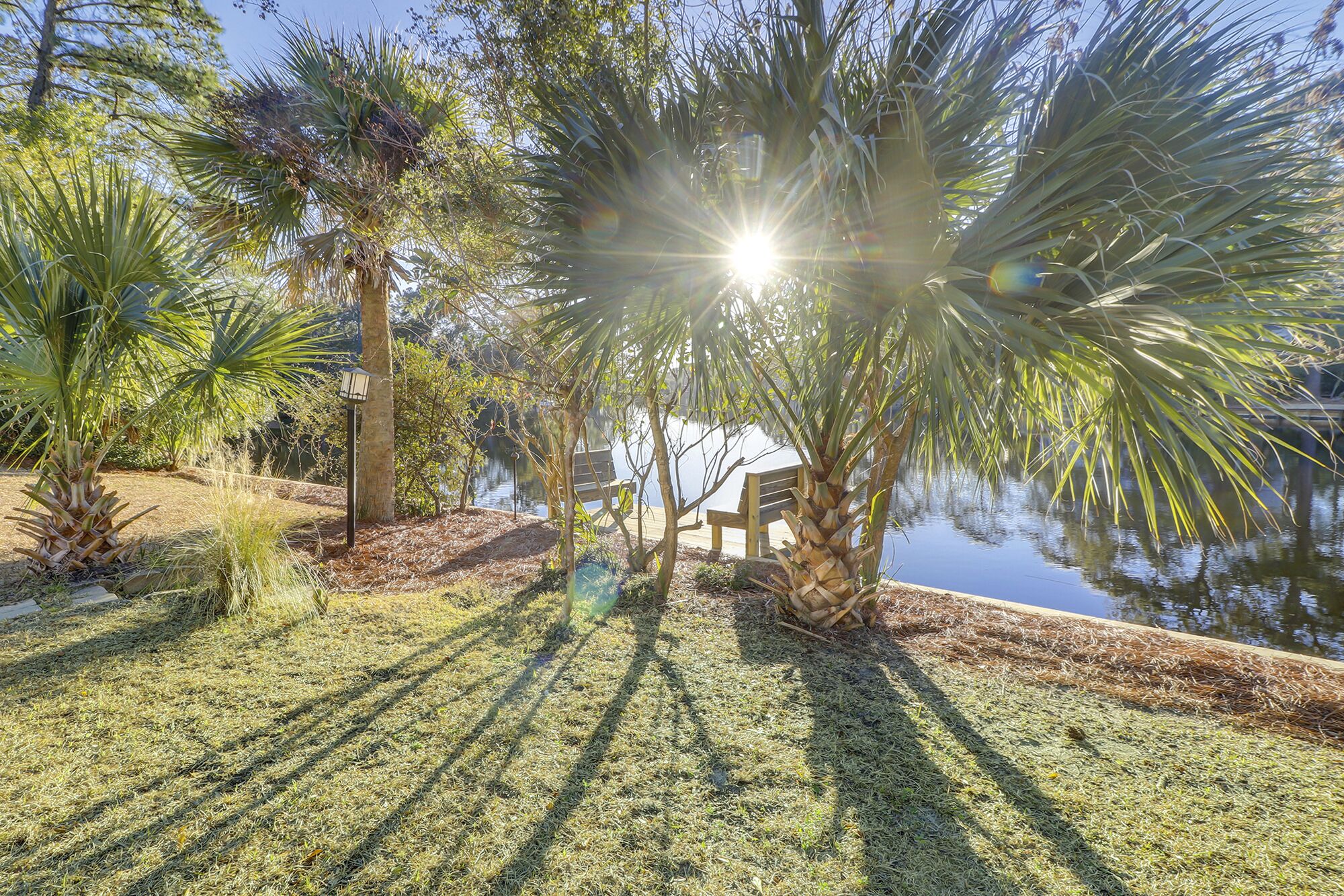 A serene outdoor area with a bench and a lamp post, surrounded by palm trees and a body of water.