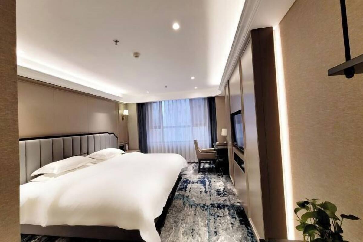 A hotel room with a bed, a desk, a chair, a TV, and a plant.