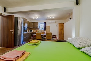 1 bedroom, iron/ironing board, free WiFi, bed sheets