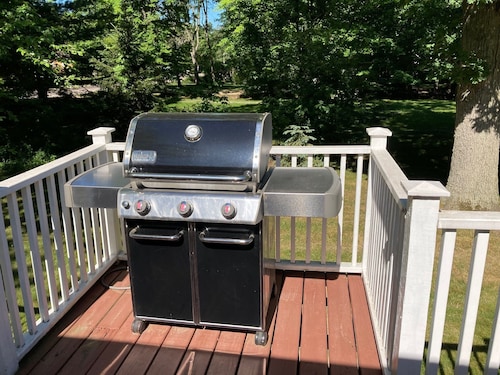 NEW LISTING—-UNION PIER PERFECTION—HOT TUB, FIRE PIT, WALK TO LAKE!!