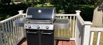 NEW LISTING—-UNION PIER PERFECTION—HOT TUB, FIRE PIT, WALK TO LAKE!!