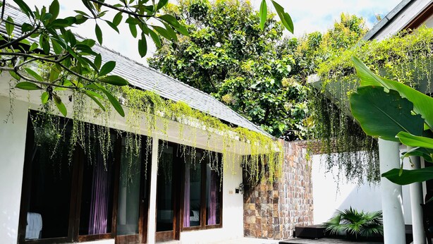 A swimming pool with a stone wall and hanging plants. - Omatha Village (Denpasar)