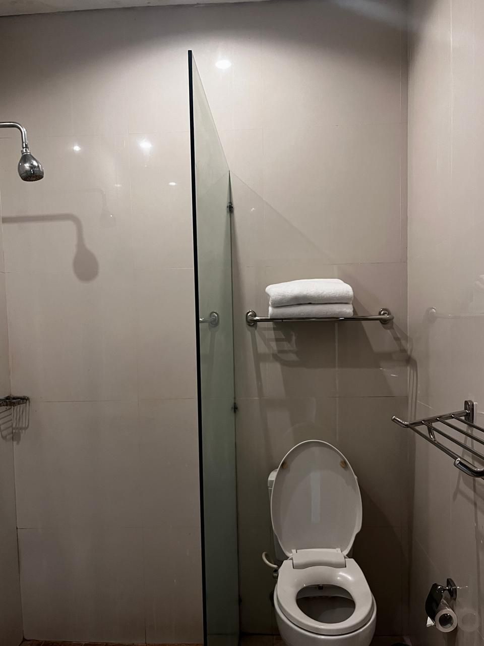 Un baño moderno con ducha envuelta en vidrio, inodoro y toallero.