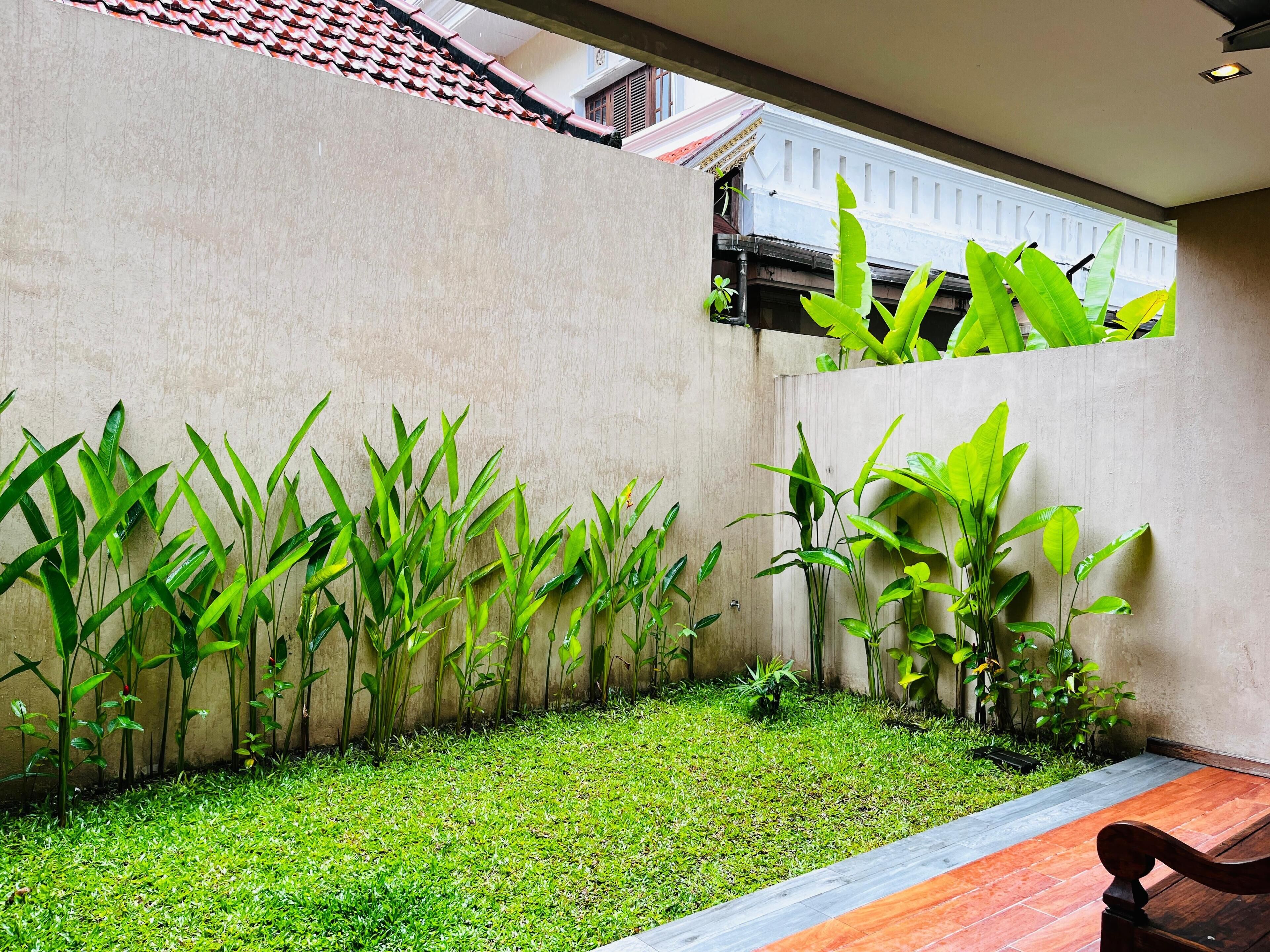 家庭套房 | 花園景