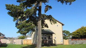 A house with a large pine tree in the front yard.