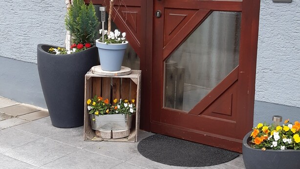 A red double door with glass panels, flanked by large potted plants and a small wooden crate with flowers.