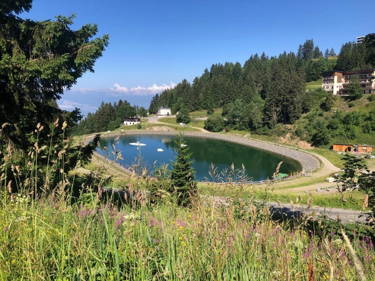 Un lac entouré de verdure et de bâtiments, sous un ciel dégagé.