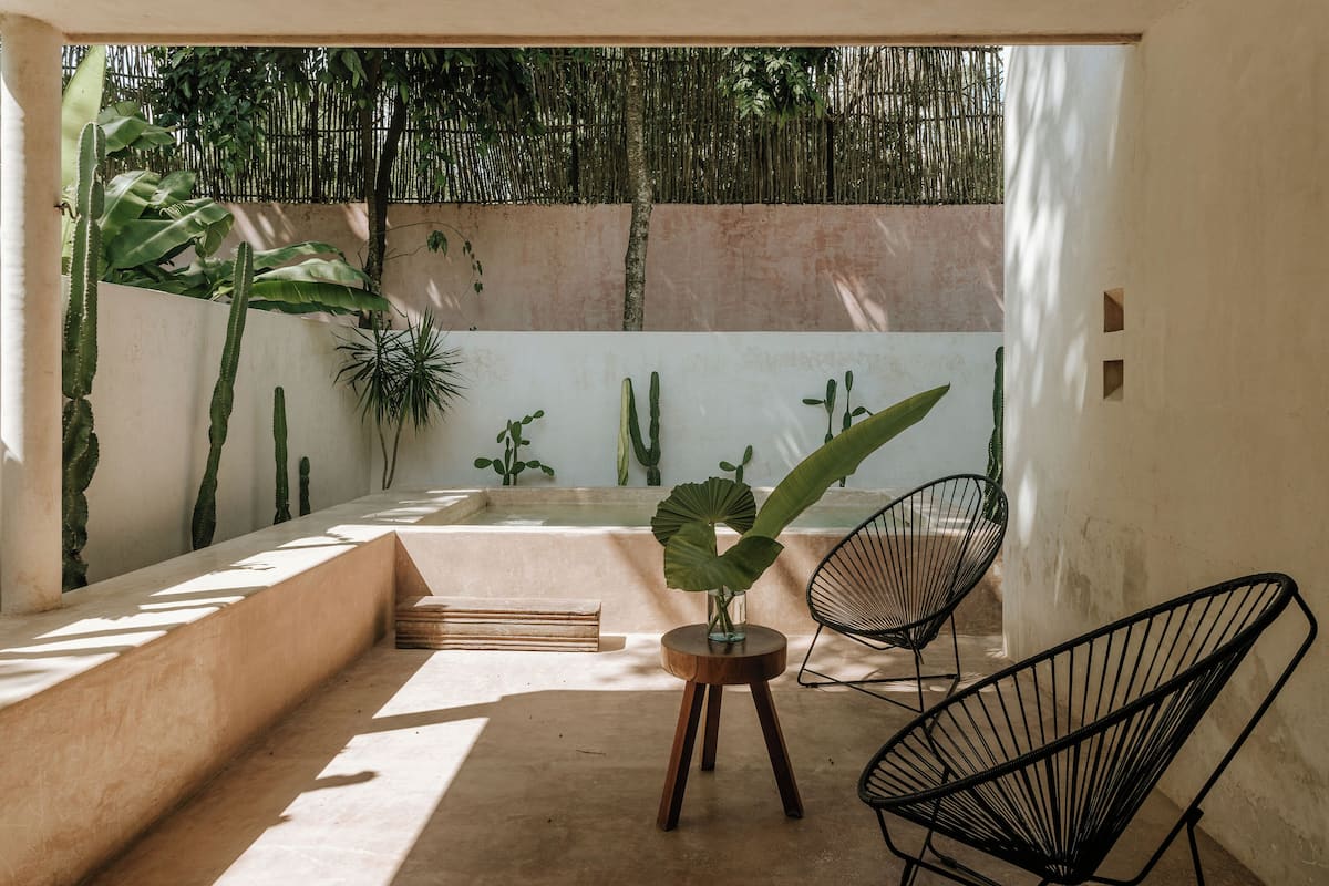 Une terrasse ensoleillée avec un coin salon, une petite table agrémentée d’une plante et des cactus se détachant sur un fond de bambous.