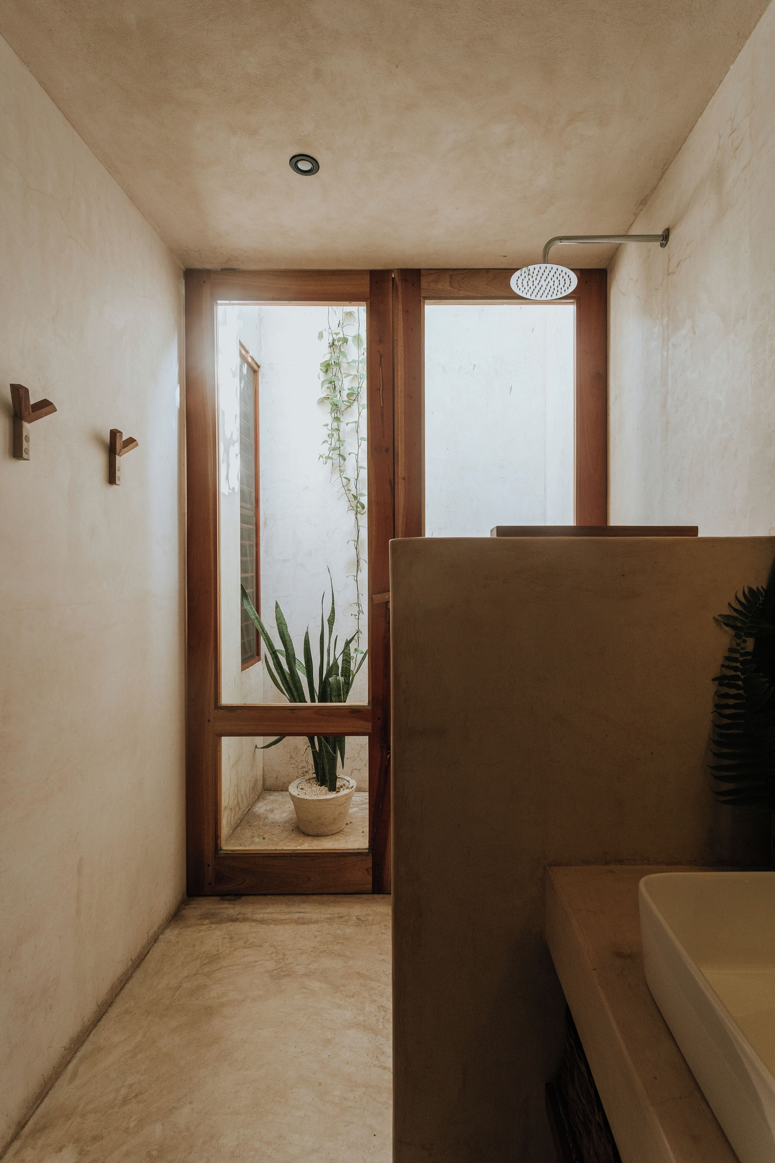 Une salle de bain avec une douche, un lavabo et une fenêtre agrémentée d’une plante.