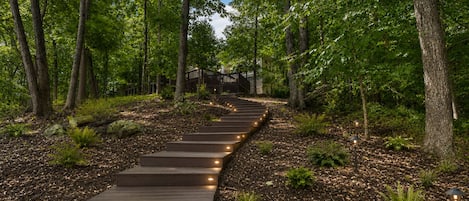 Un sendero de madera serpentea por un área boscosa, con escalones y pequeñas luces a lo largo del camino.