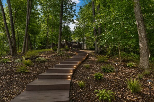 A wooden pathway leading through a forested area with steps and small lights along the path.