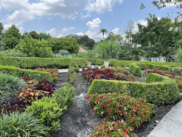 A well-maintained garden with neatly trimmed hedges and a variety of colorful plants. - Cheerful 3 bedroom home with pool + grill (Lakeland)