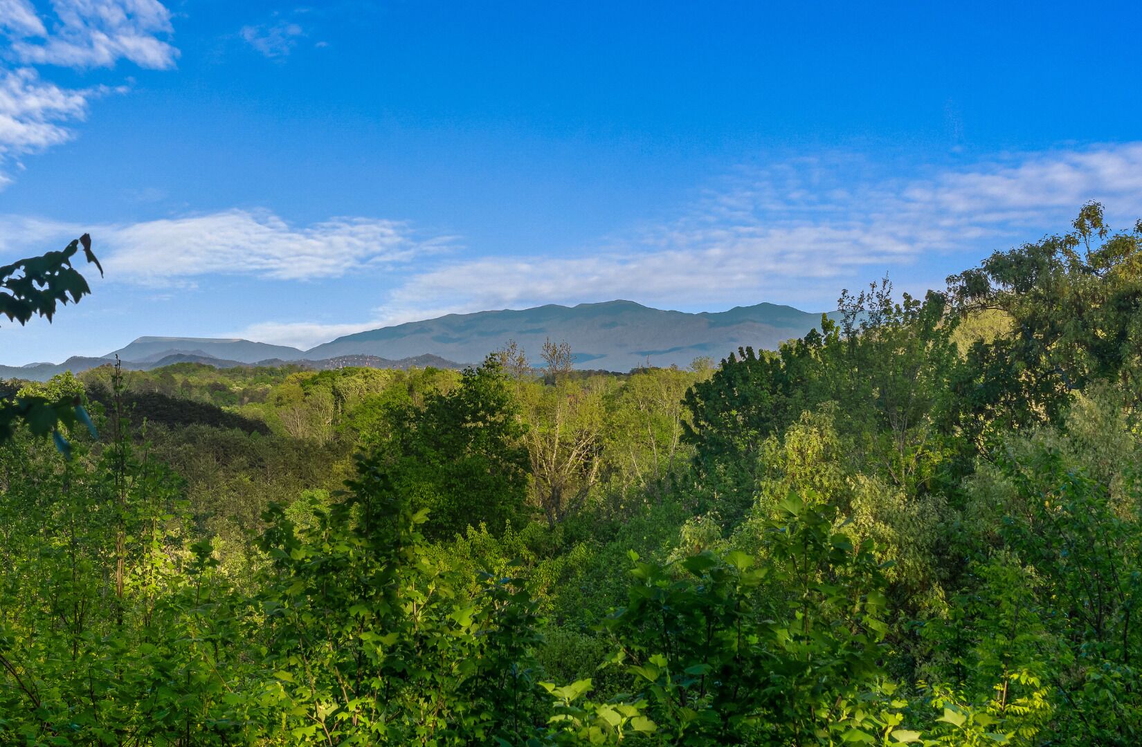 Un paysage verdoyant et luxuriant, avec une végétation dense et des montagnes lointaines, sous un ciel bleu dégagé.