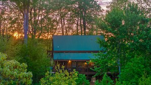 Eine Hütte mit einem grünen Dach, umgeben von dichtem Wald.
