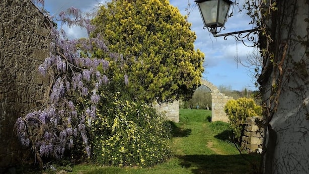 A narrow garden path flanked by stone walls, a large tree with yellow flowers, and a hanging lantern. - The Borgo Renaissance Stable (Farnese)