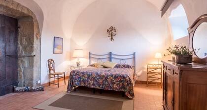 Smart working in maremma "the donkey farm"