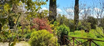 Smart working in maremma "l'asinaia"