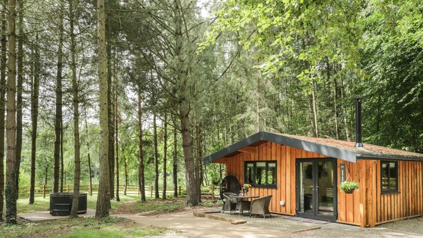 Une cabane en bois dotée d’un patio, entourée de grands arbres.