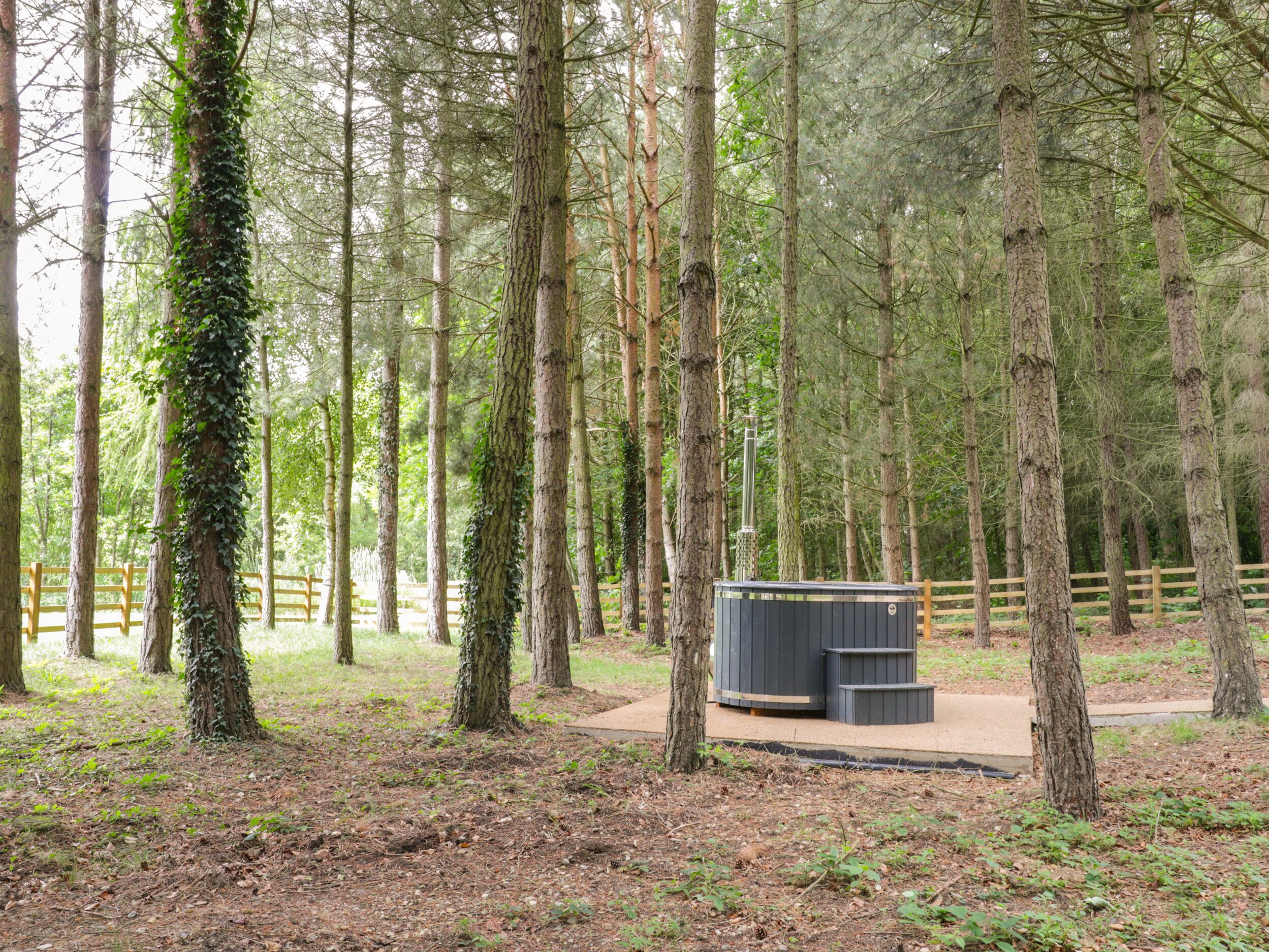 المنطقة المحيطة بالمنشأة