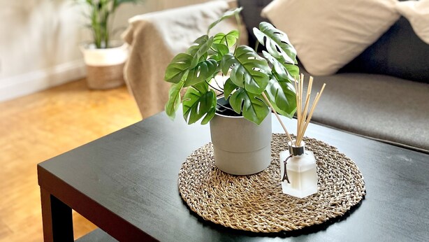 Una sala moderna con una mesa de centro de madera oscura, una planta en maceta y un posavasos tejido. Se ve un sofá gris con un cojín blanco al fondo.