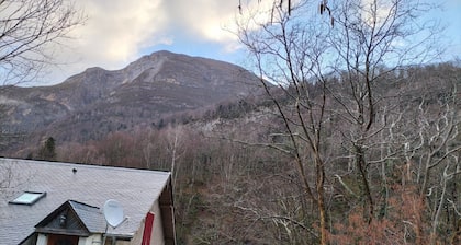 SĂ©jour nature en VallĂ©e dâOssau â Appartement au calme avec parc privĂ©