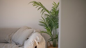 A beige sofa with a woven plant basket beside it. - WeLive Trapani - Penthouse apartment with terrace and Jacuzzi (Trapani)