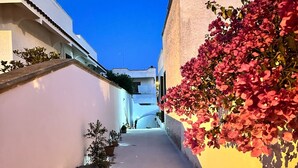 Un callejón estrecho con un edificio blanco a la izquierda y uno amarillo a la derecha, ambos con balcones. Hay macetas con plantas a lo largo del callejón.