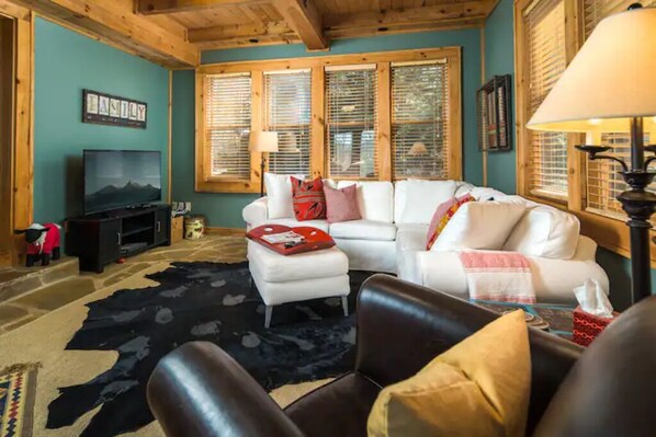 Smart TV, fireplace, books