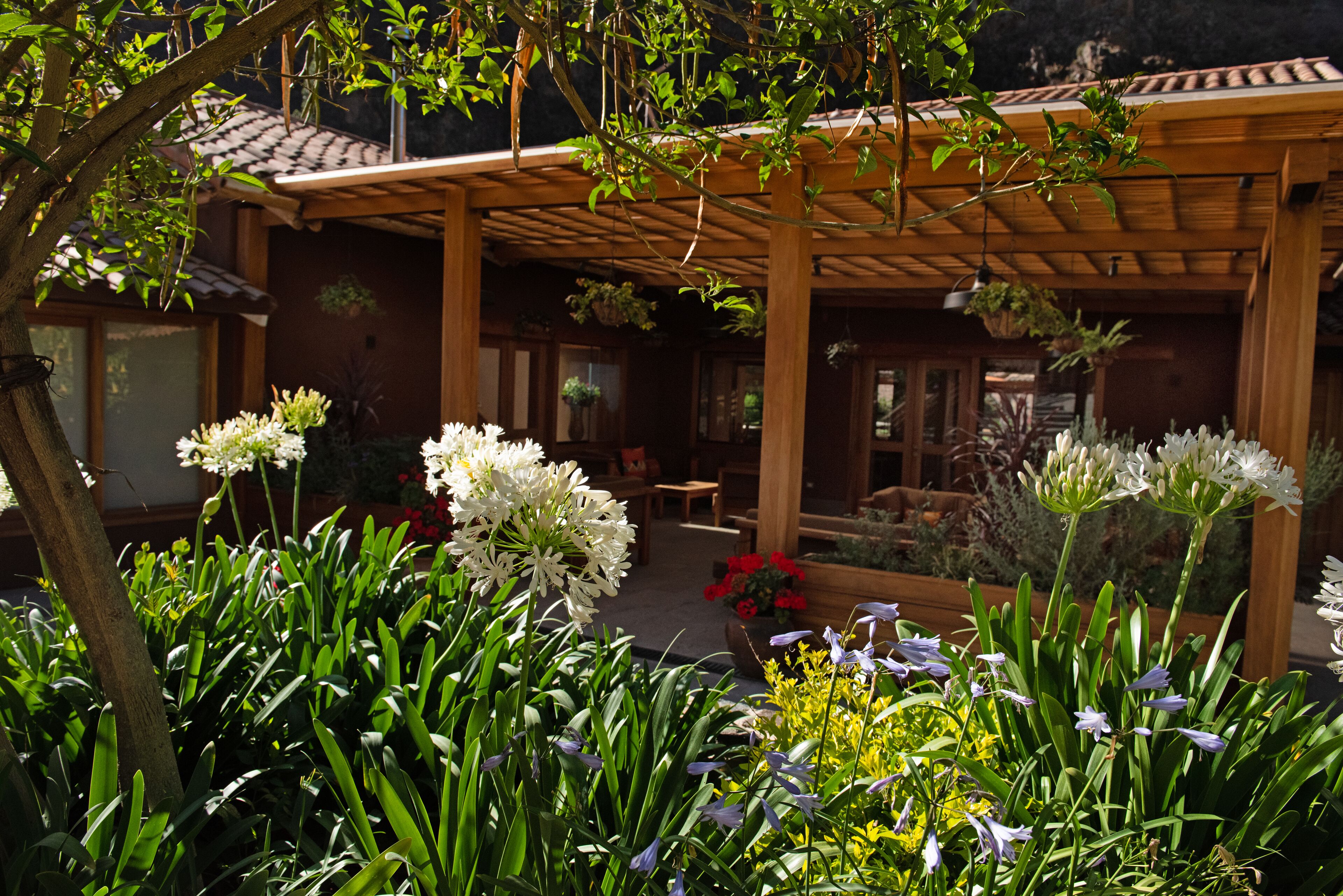 A covered patio area with a wooden pergola, surrounded by lush greenery and various flowering plants.