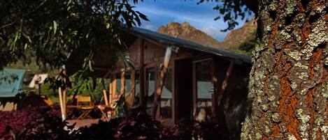 Une cabane rustique avec un toit en métal, entourée d’une végétation luxuriante et avec une montagne en arrière-plan.