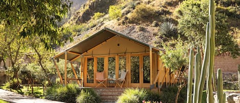 Family Tent / Carpa Familiar | 3 chambres, draps en coton égyptien, literie de qualité supérieure