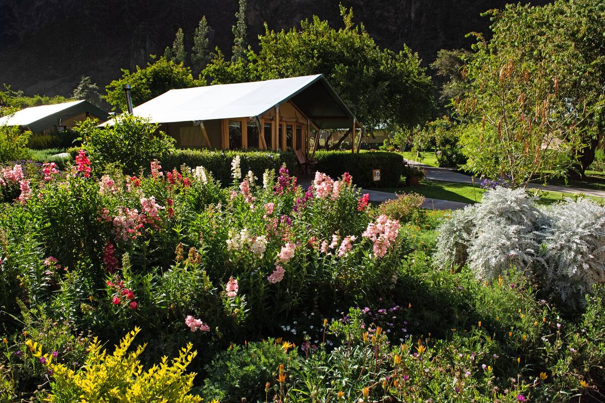 Un chalet doté d’un patio couvert, entouré de jardins luxuriants et de plantes en fleurs.