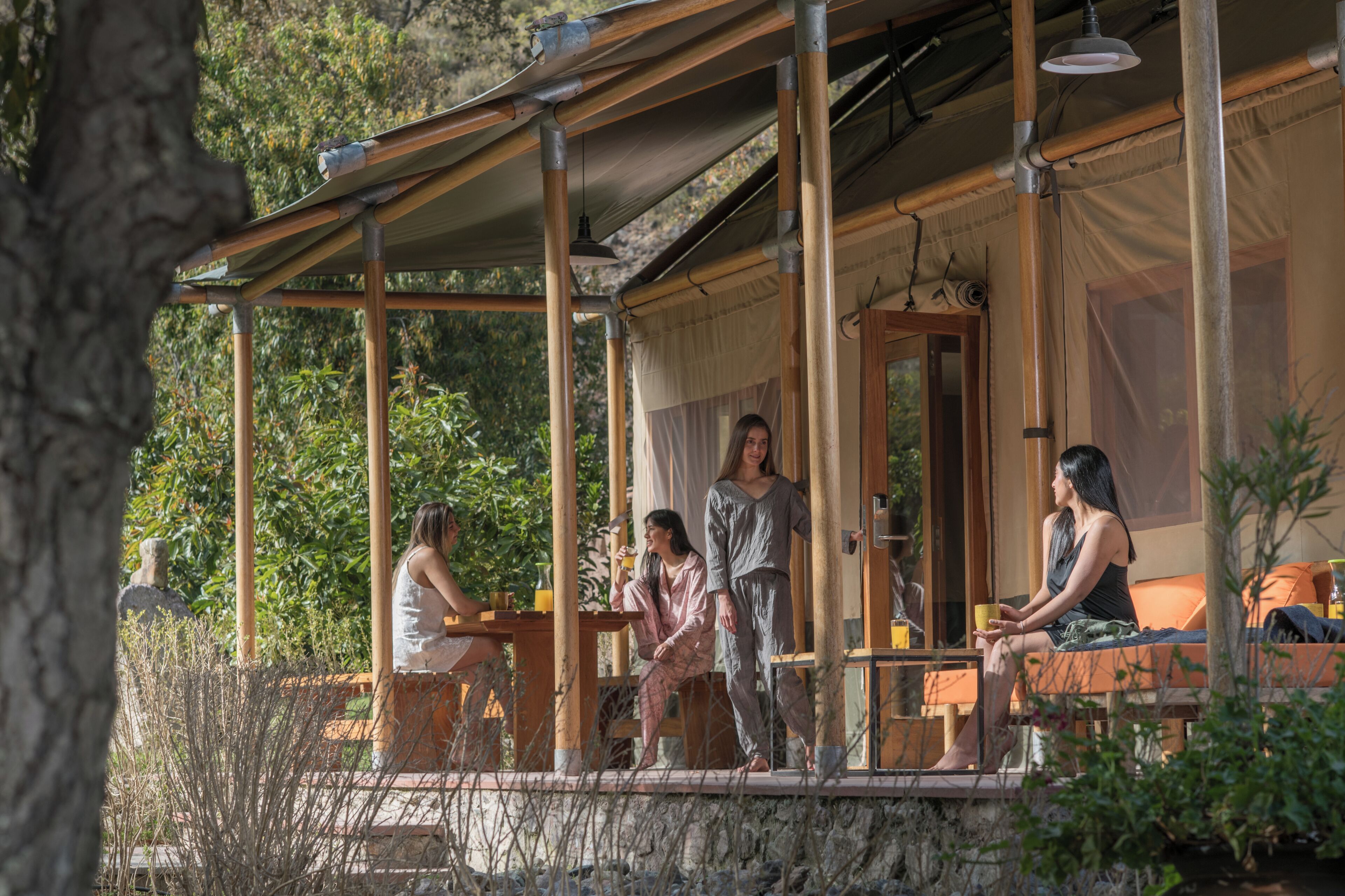 A covered outdoor seating area with wooden beams and a canopy, surrounded by greenery.