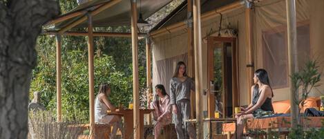 A covered outdoor seating area with wooden beams and a canopy, surrounded by greenery.