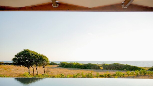An infinity pool with a view of the ocean and a tree-lined beach.