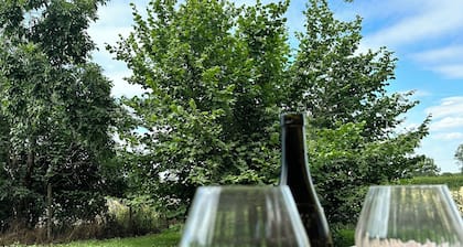 Bourbonnaise house ideally located and quiet.