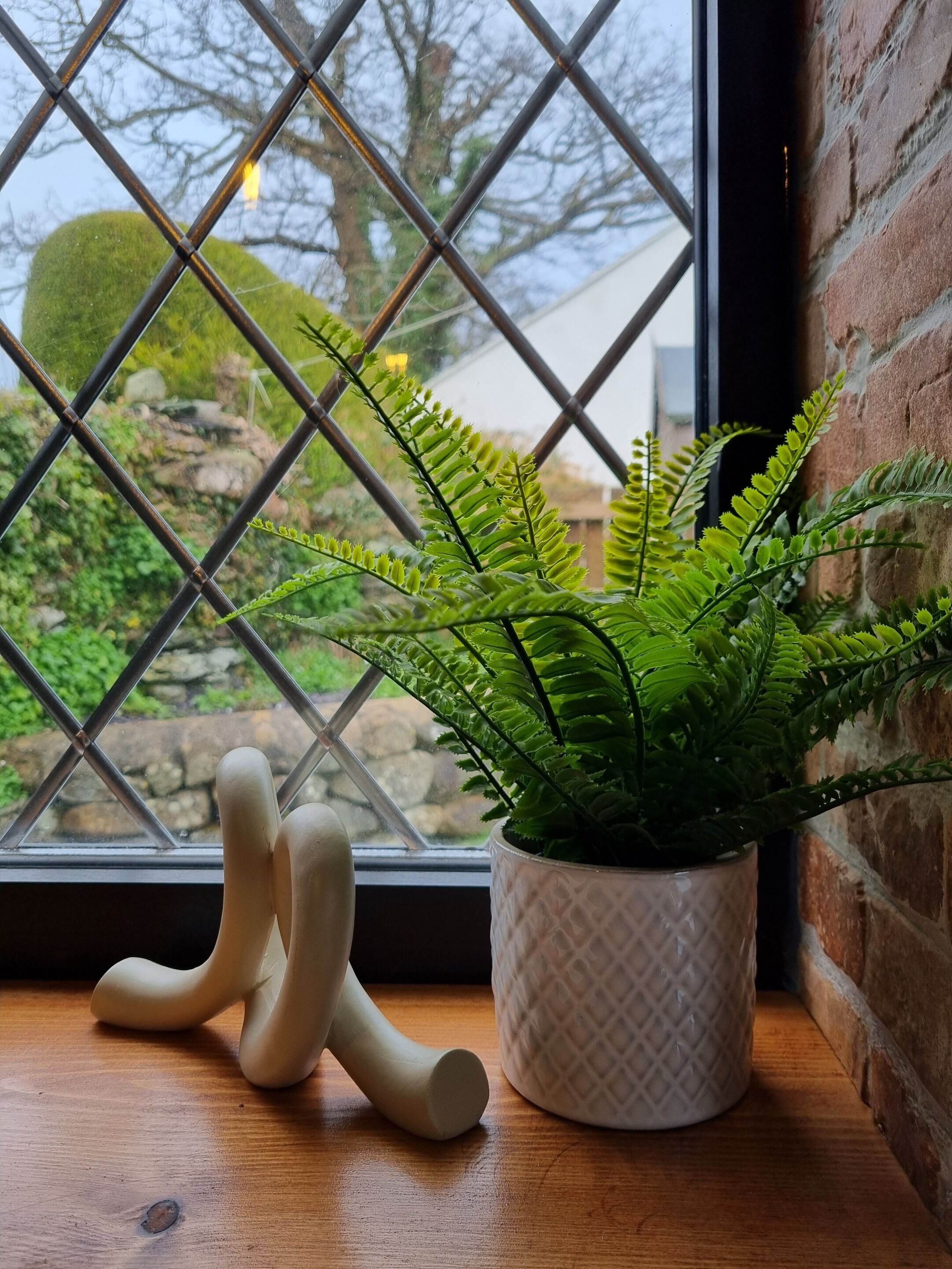 A potted fern plant on a wooden surface next to a window with a diamond-patterned metal grille.