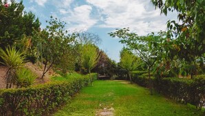 A garden pathway leading to a gazebo surrounded by lush greenery and various plants. - Traditional apartement with pool for relaxation moments (Trikorfo xalkeias)