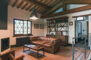 Fernseher, Kamin