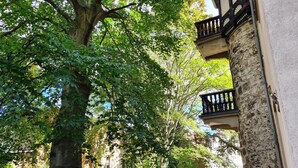 A courtyard with a large tree, stone walls, and a balcony with a railing. - Large stylishly furnished holiday flat in a quiet and central location (Weimar)