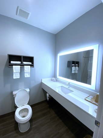 Deep-soaking bathtub, hydromassage showerhead, towels. Palace Inn-Arcola
