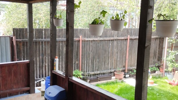 Un patio couvert avec un plafond en bois, des plantes en pot suspendues au plafond, une clôture en bois et une pelouse visible à travers les fenêtres.