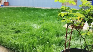 Une maison avec un porche abrité, des plantes en pot et une cour gazonnée.