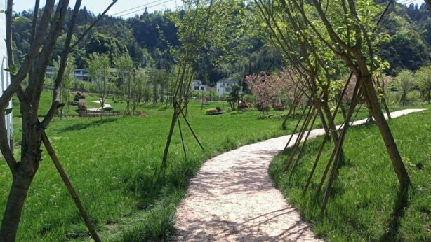 Un sendero serpentea por una zona verde exuberante con árboles y cielo despejado.