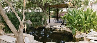 The Koi House Georgetown: 35 Minutes from Downtown Austin and Airport